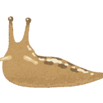 ナメクジのイラスト